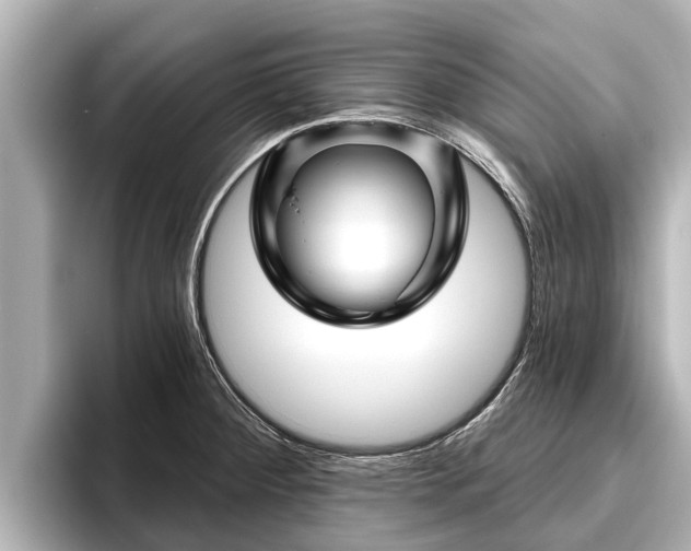 X0000096411284200801311345