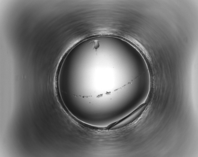 X0000096411285200801311345