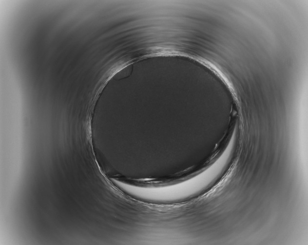 X0000096411289200801311345