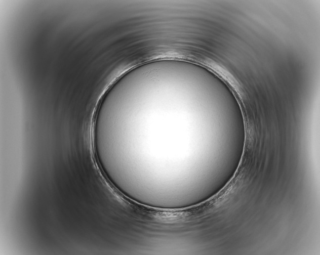 X0000096411290200801311345