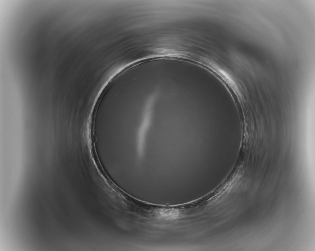 X0000096411291200801311345