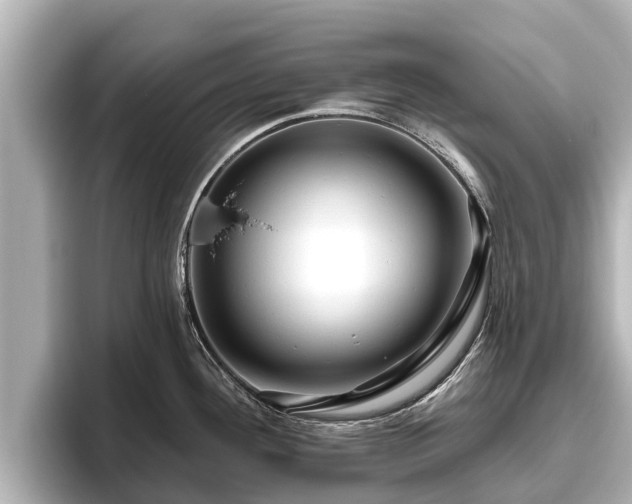 X0000096411292200801311345