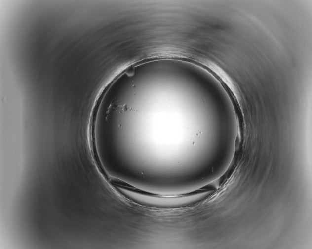 X0000096411293200801311345
