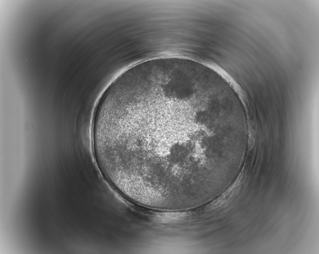 X0000096411294200801311345