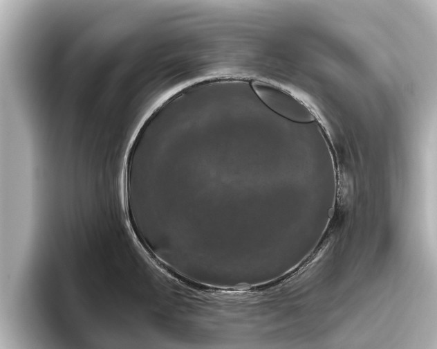 X0000096411295200801311345