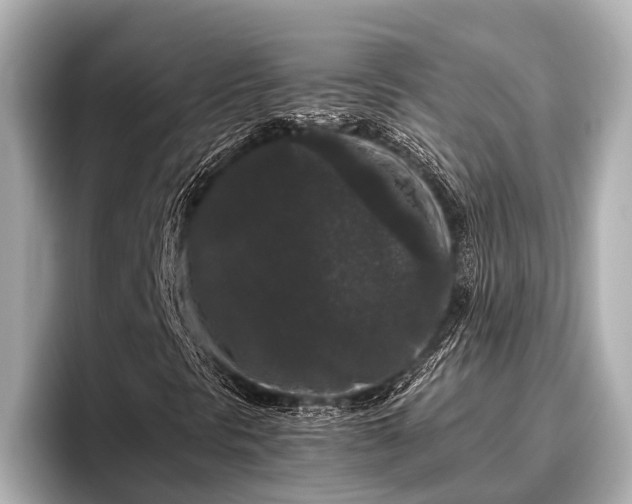 X0000096411297200801311344