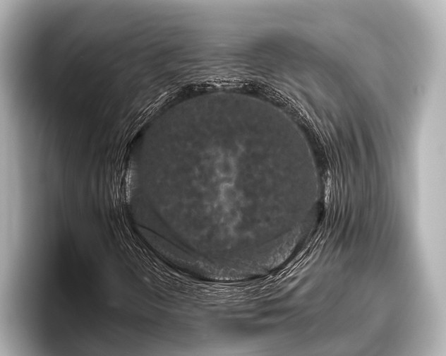 X0000096411298200801311344