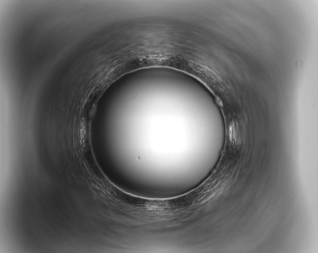 X0000096411299200801311344