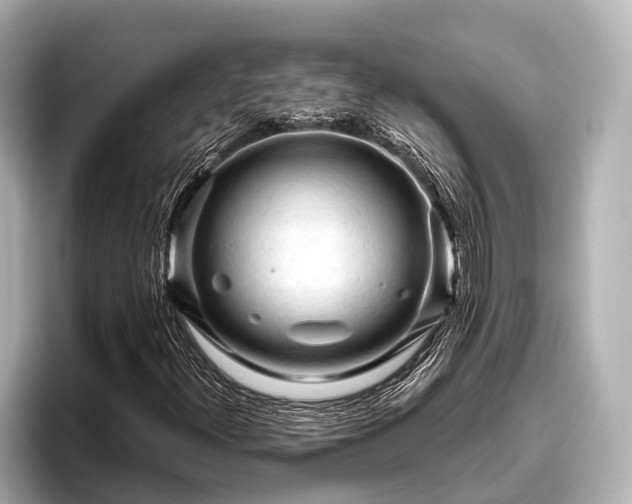 X0000096411300200801311344