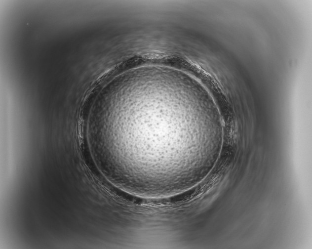 X0000096411301200801311344