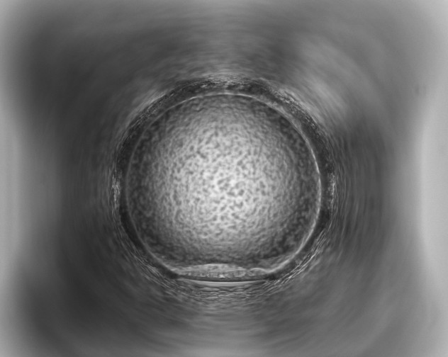 X0000096411302200801311344