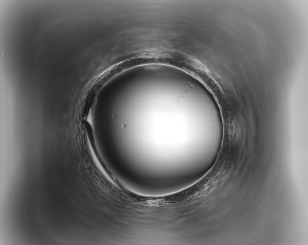 X0000096411304200801311344