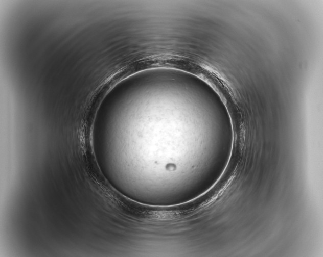 X0000096411305200801311344