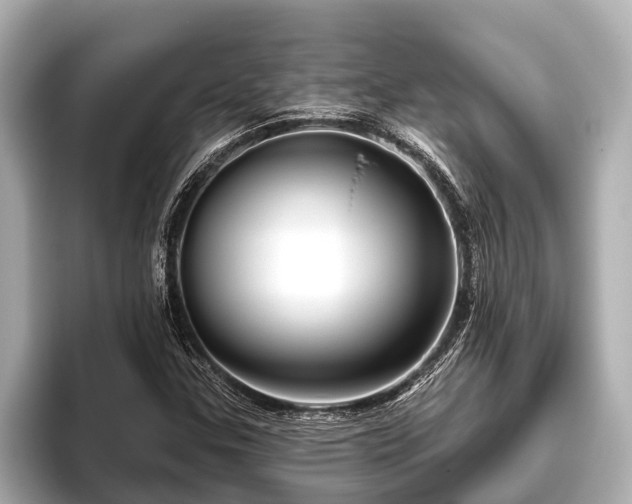 X0000096411307200801311344
