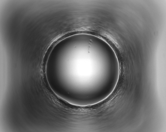 X0000096411308200801311344