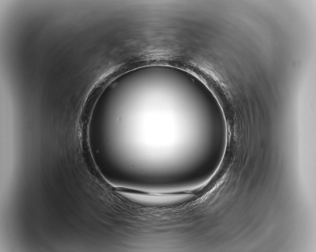 X0000096411309200801311344