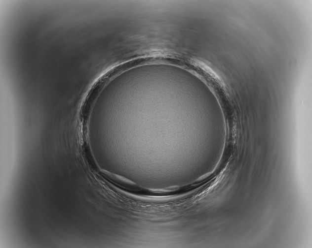 X0000096411310200801311344