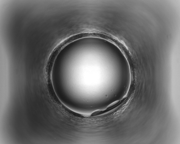 X0000096411311200801311344
