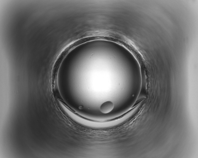 X0000096411312200801311344