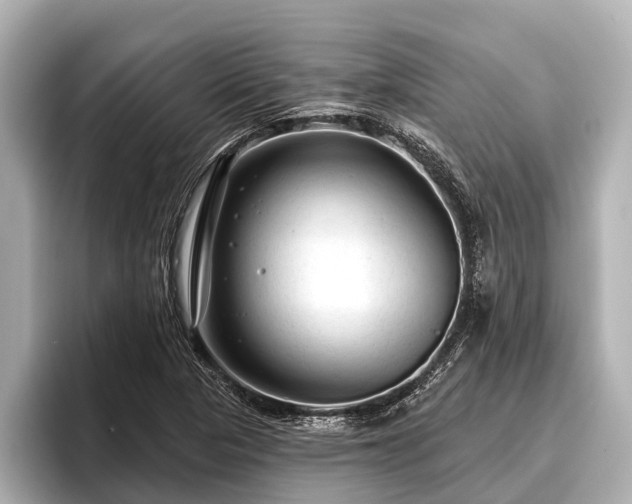 X0000096411313200801311344
