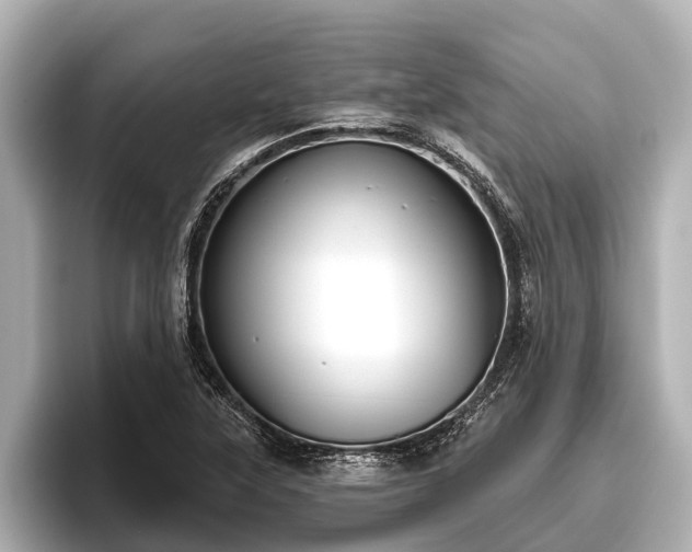 X0000096411315200801311344