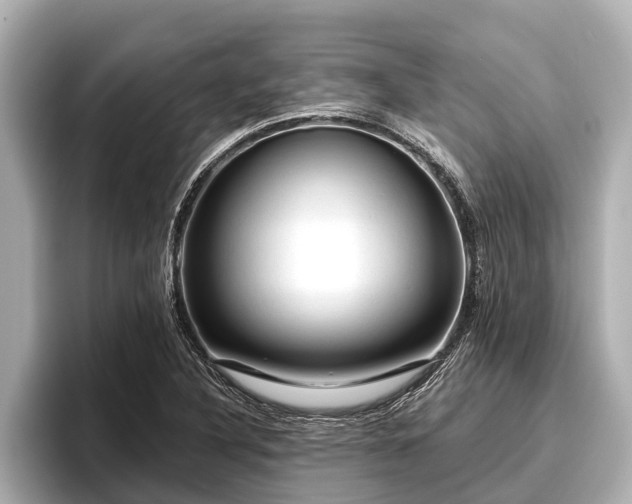 X0000096411316200801311344