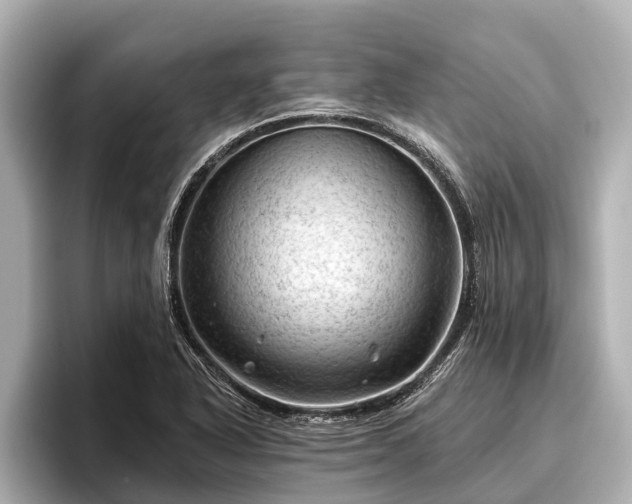X0000096411318200801311344