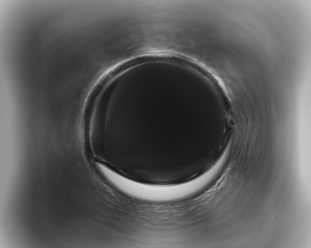 X0000096411319200801311344