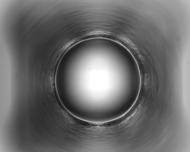 X0000096411321200801311344
