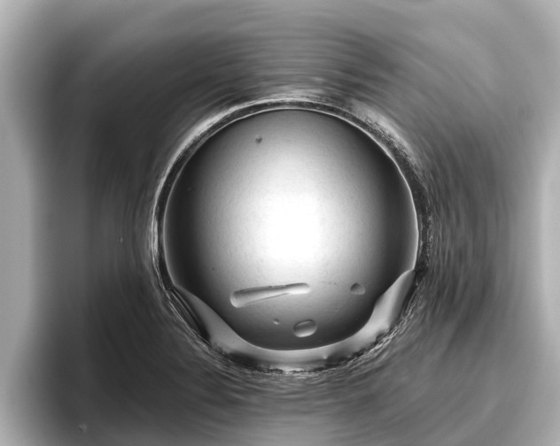X0000096411324200801311344
