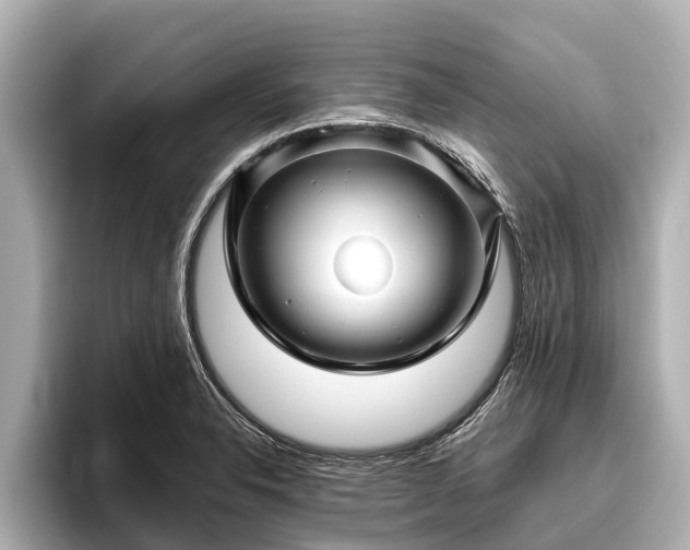 X0000096411326200801311344