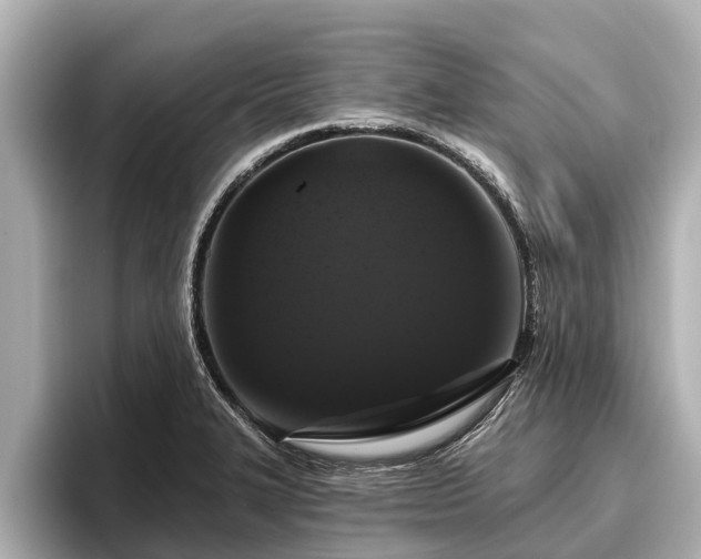 X0000096411327200801311344