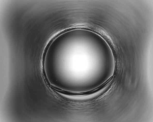X0000096411328200801311344