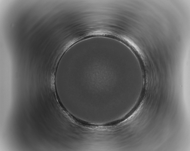 X0000096411329200801311344