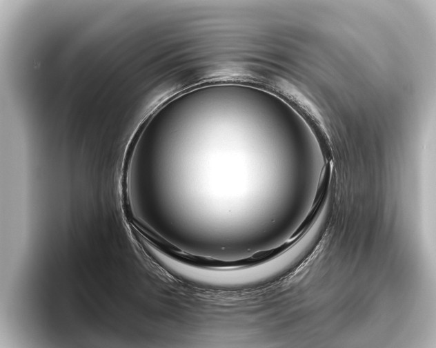 X0000096411330200801311344