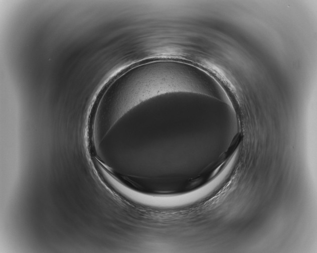 X0000096411331200801311344