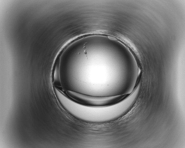 X0000096411332200801311344