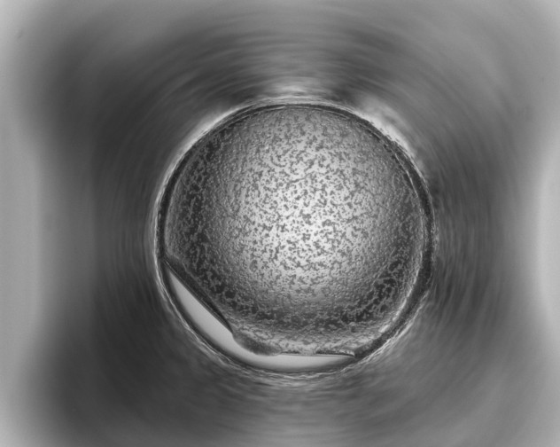X0000096411333200801311344