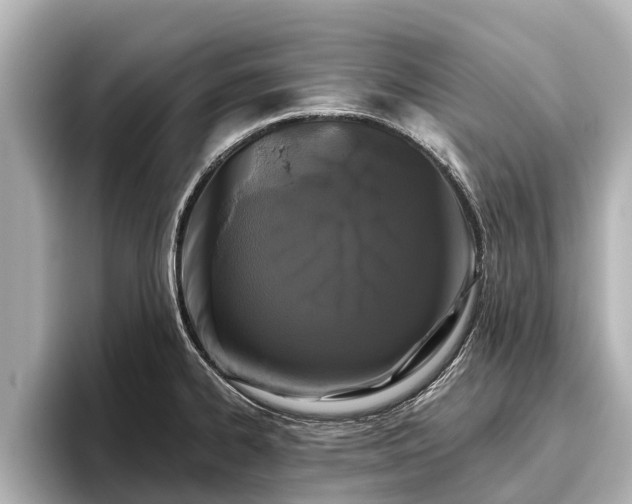 X0000096411334200801311345