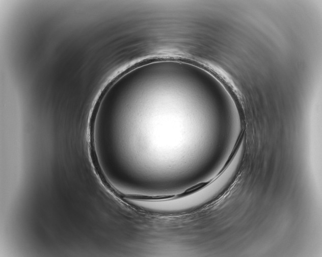 X0000096411335200801311345