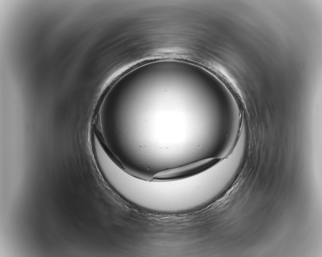 X0000096411336200801311345