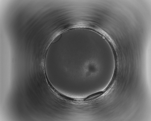 X0000096411337200801311345