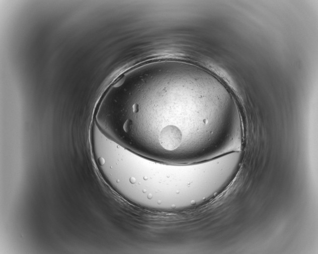 X0000096411338200801311345