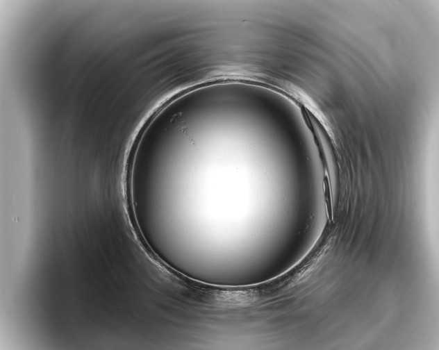 X0000096411339200801311345