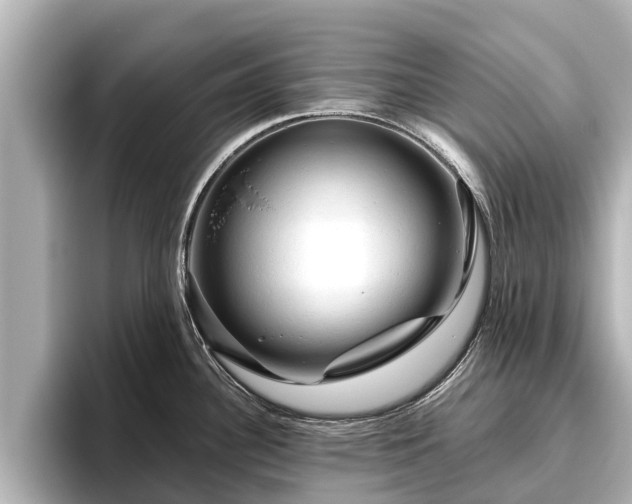 X0000096411340200801311345