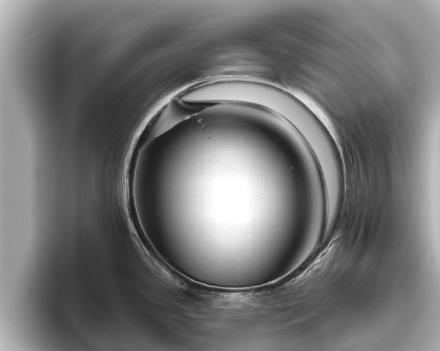 X0000096411341200801311345