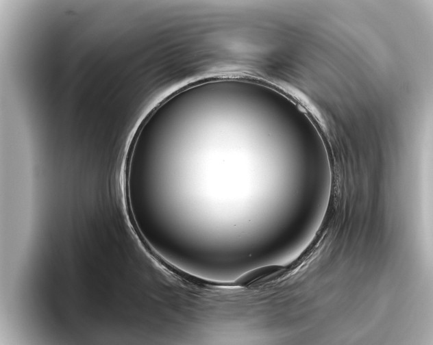 X0000096411343200801311345