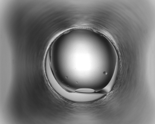 X0000096411344200801311345