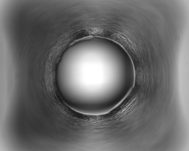 X0000096411345200801311344