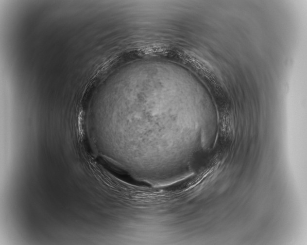 X0000096411346200801311344